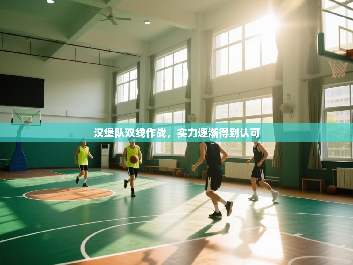 汉堡队双线作战,实力逐渐得到认可 第1张