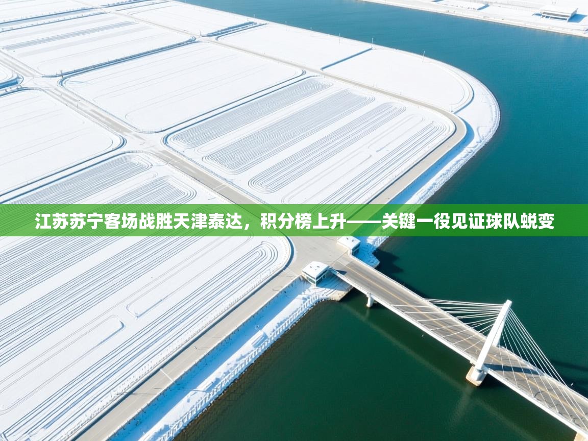 江苏苏宁客场战胜天津泰达，积分榜上升——关键一役见证球队蜕变  第2张