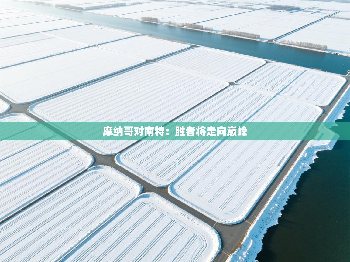 摩纳哥对南特：胜者将走向巅峰  第2张